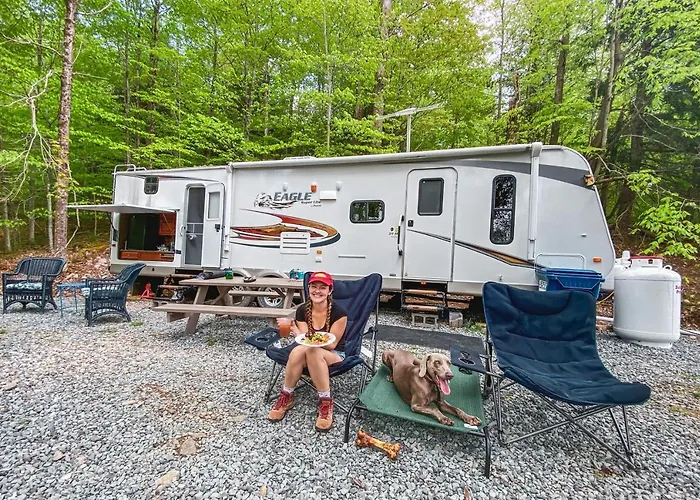 Rv Adventure Roscoe Pet Friendly