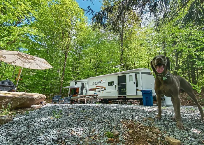 Rv Adventure Roscoe Pet Friendly