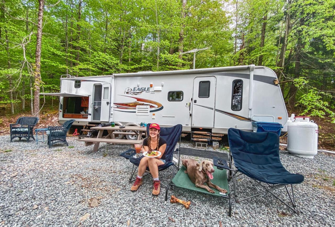 Rv Adventure Pet Friendly
