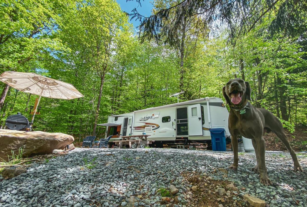 Rv Adventure Pet Friendly Campsite Roscoe
