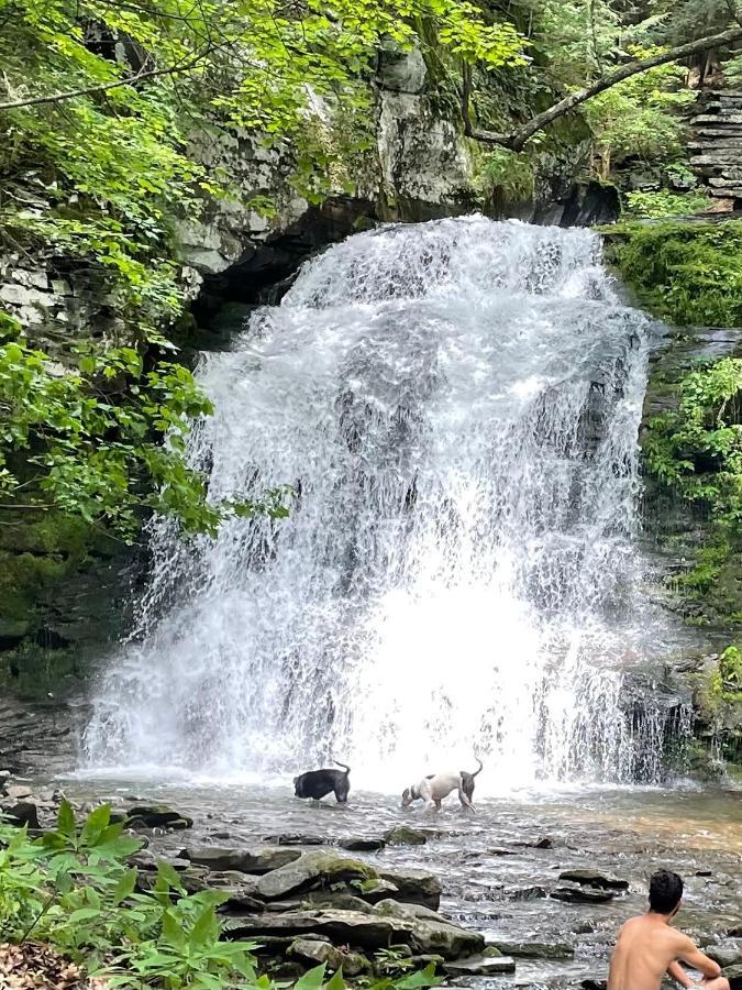 Rv Adventure Pet Friendly Campsite
